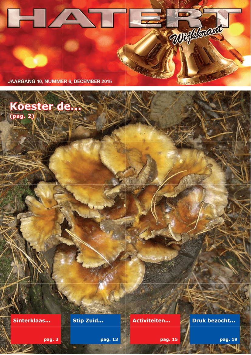 wijkkrant-hatert 2015 6 o