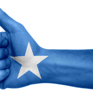 somalia, flag, hand-990492.jpg